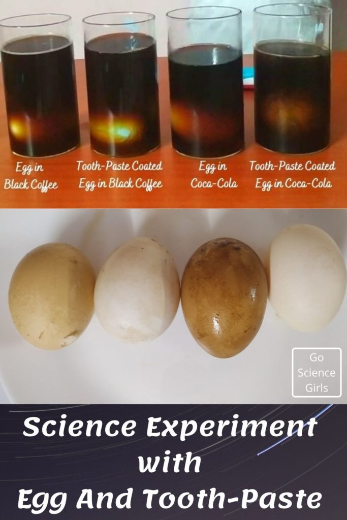 Science Experiment With Egg And Tooth-Paste