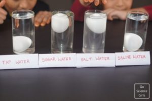 Density Science Experiment for Kids