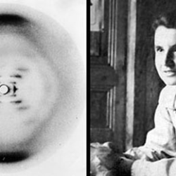 Rosalind Franklin : X-ray crystallographer and Chemist