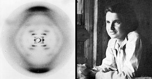 Dr Rosalind Franklin