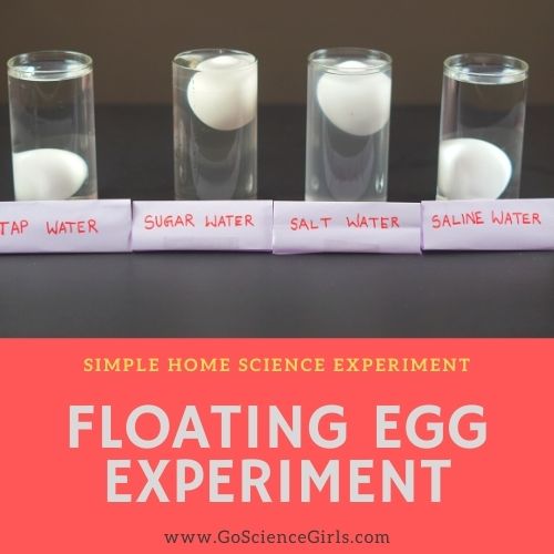 Floating Egg Density Science Experiment