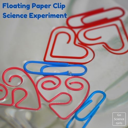 Floating Paper Clip Experiment For Kids