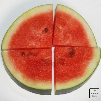 Four Parts In Watermelon