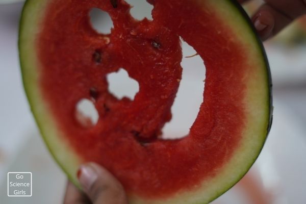 Kids Activities With Watermelon