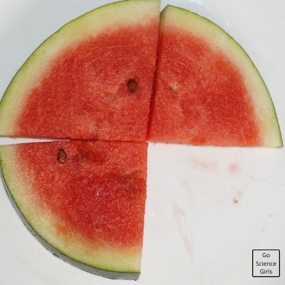 Learning Fractions using Watermelon Slices