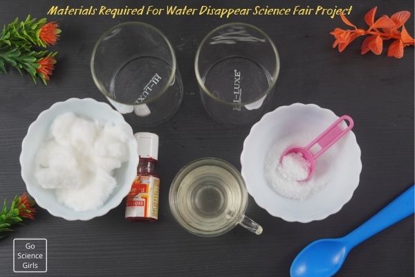 Materials Required For Water Disappear Science Fair Project