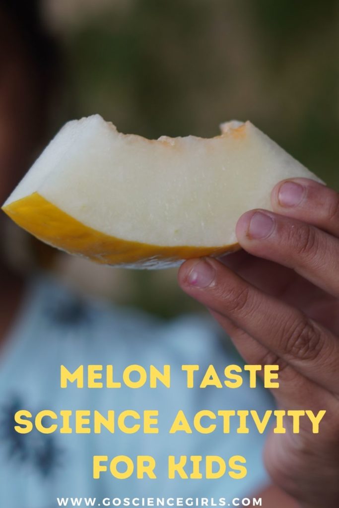 Melon Taste Science Activity For Kids