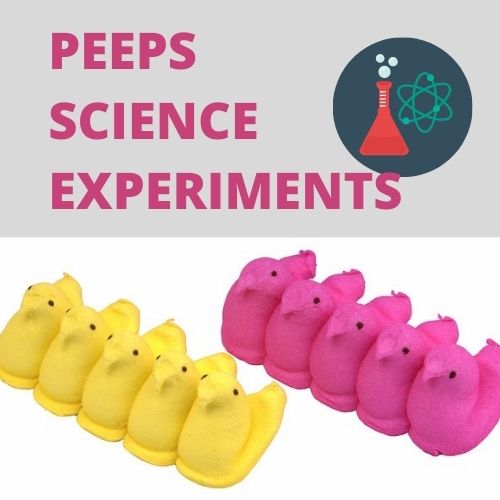 Science experiments with peeps