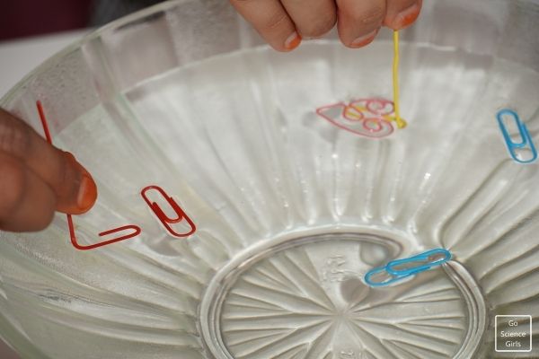 Paper Clip floating Science Experiment For Kids