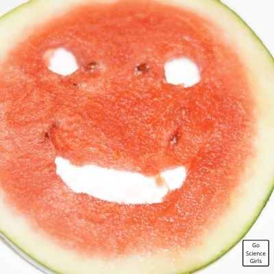 Smiley In Watermelon