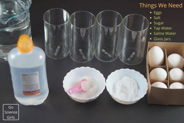 Things We Need Floating Egg Experiment