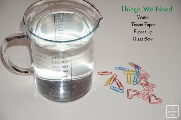 Things We Need For Floating Paper Clip Experiment