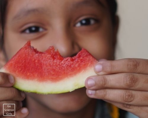 Watermelon Taste Science Activities