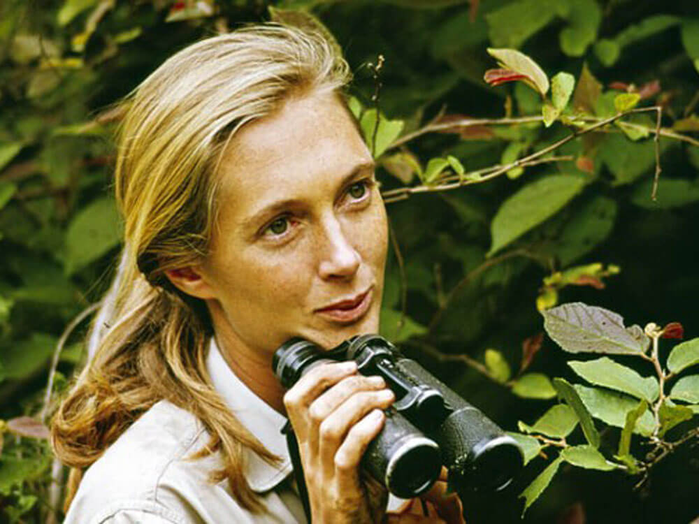 Jane Goodall in Forest