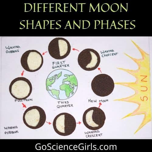 Different Moon Shapes And Phases