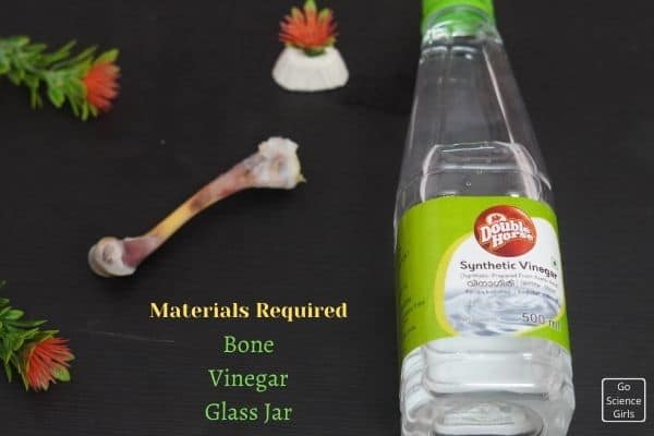 Materials Required For Bone in vinegar