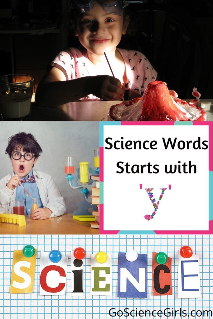 Science Words That Starts With Y
