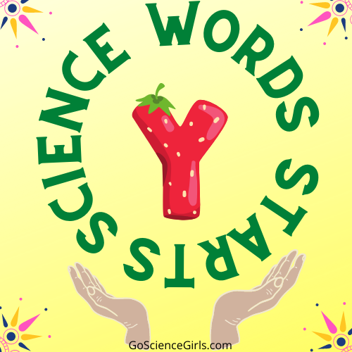 Science words starts with y
