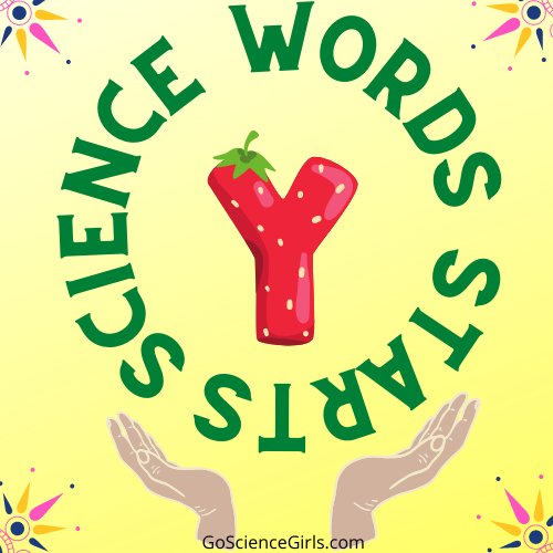 science-words-that-start-with-y-complete-list