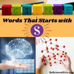 Science Words that Start with ‘S’- Glossary