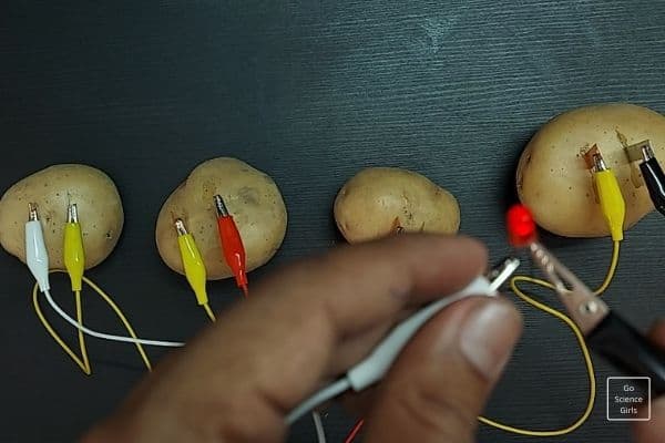 Diy Potato Battery Light Bulb