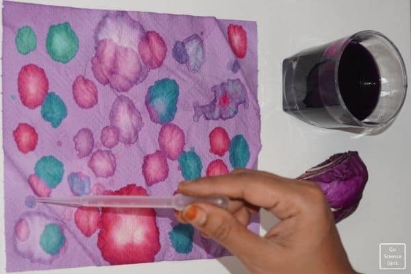 Red Cabbage Juice Science Project - Litmus Paper Test