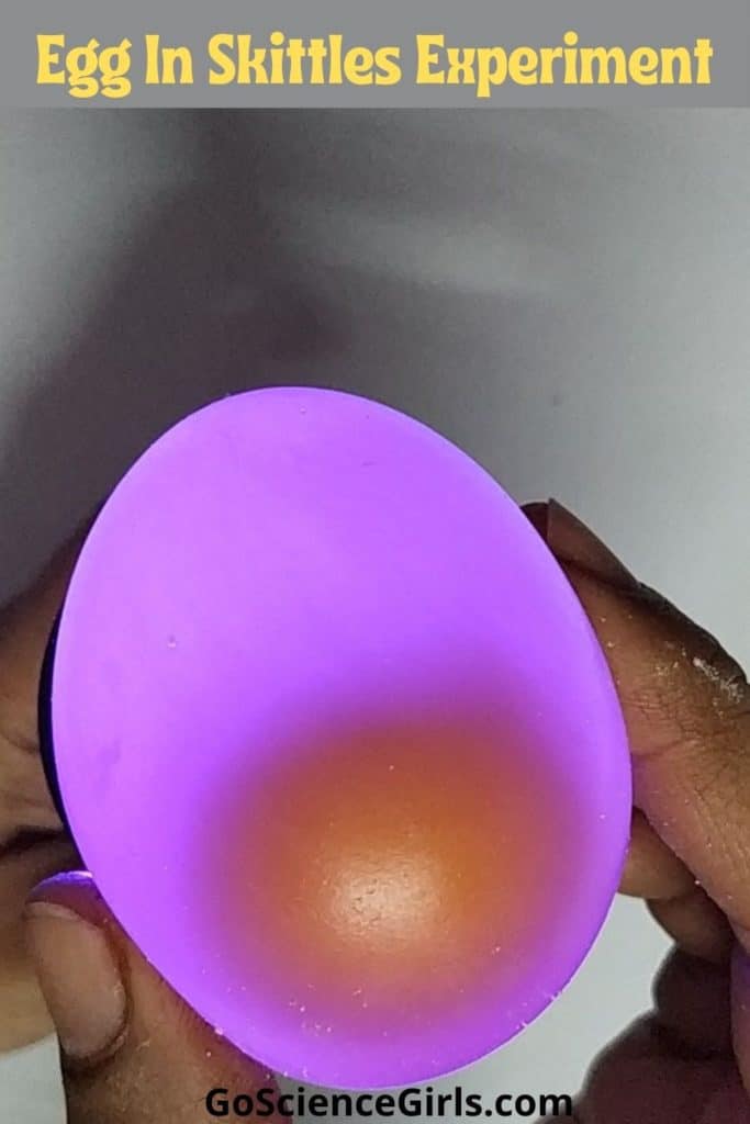 Colored egg experiment 