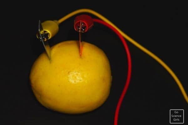 Lemon Battery Science Experiment