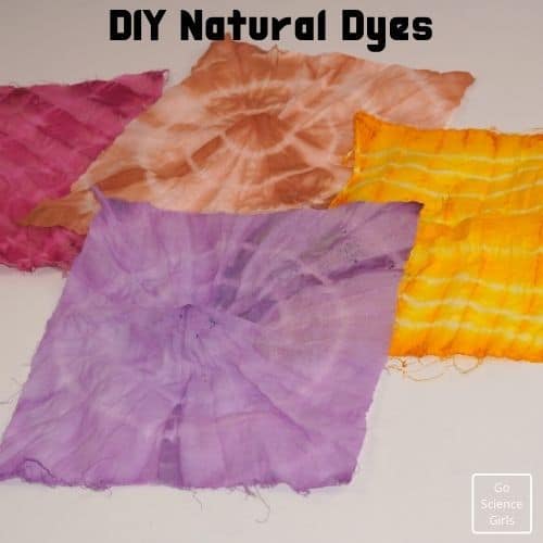 DIY Natural Dyes