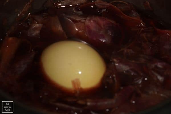 Egg in onion water