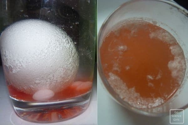 Egg in skittles and vinegar - Chemical reaction