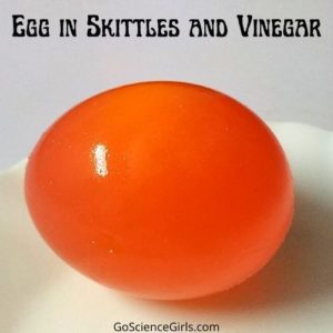 Egg in Skittles and Vinegar Experiment