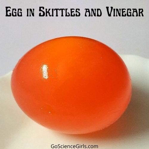 Egg in Skittles and Vinegar Experiment