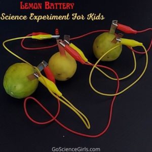 Lemon Battery Science Project