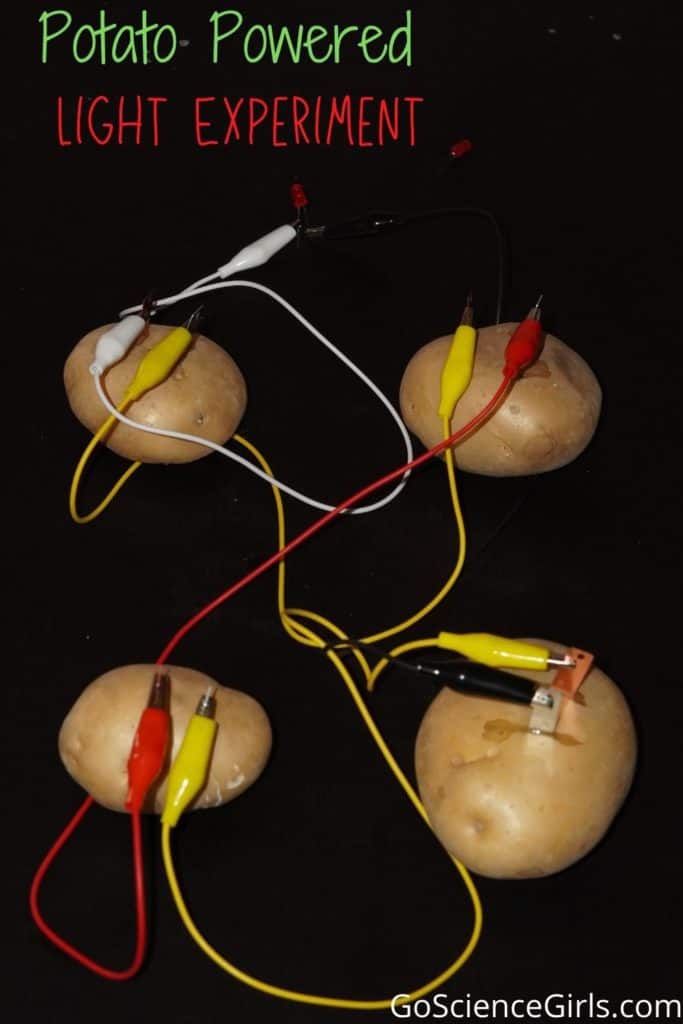 Veggie Power Battery Kit  Potato Battery Kit for Electricity Project