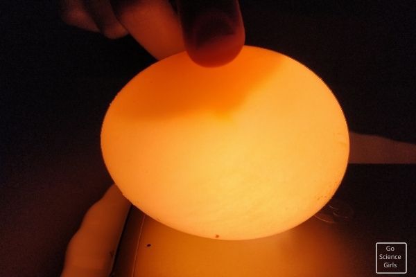 Skittles and vinegar egg experiment - Result