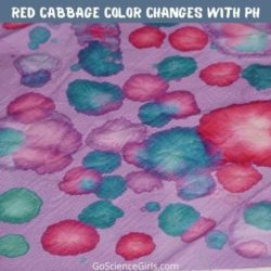 How to Make pH Paper With Red Cabbage – Investigatory Project