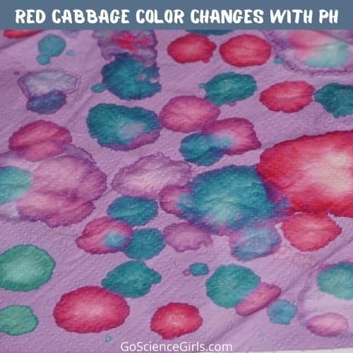 Red Cabbage Color Changes With pH