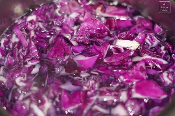 Make a dye from Red Cabbage