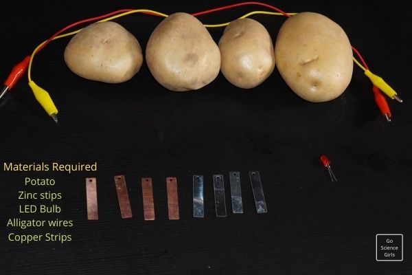 Things we need - Potato Battery Experiment