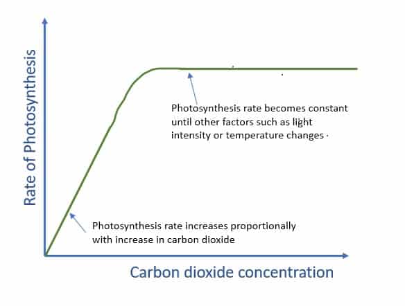 Photosynthesis vs Carbon Dioxide Concentration