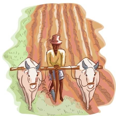 Evolution of Agriculture
