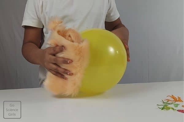 Rub the balloon with cloth