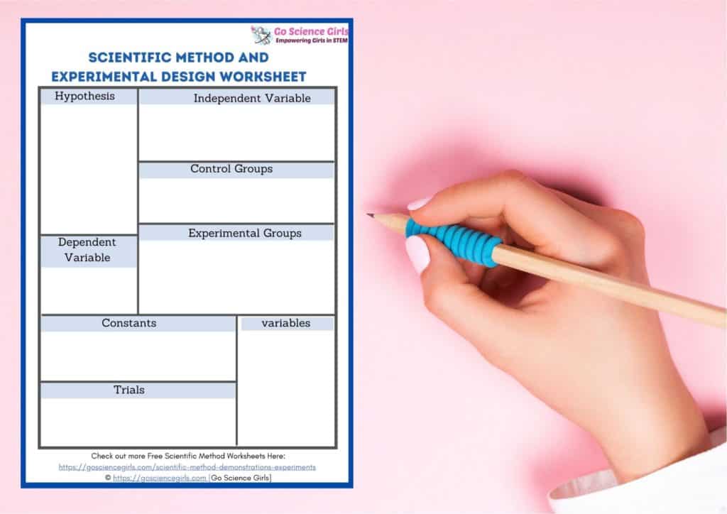 scientific method and experimental design worksheet