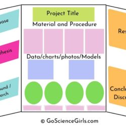 Ultimate Guide for A+ Science Fair Project: Science Fair Board Layout Ideas & Examples