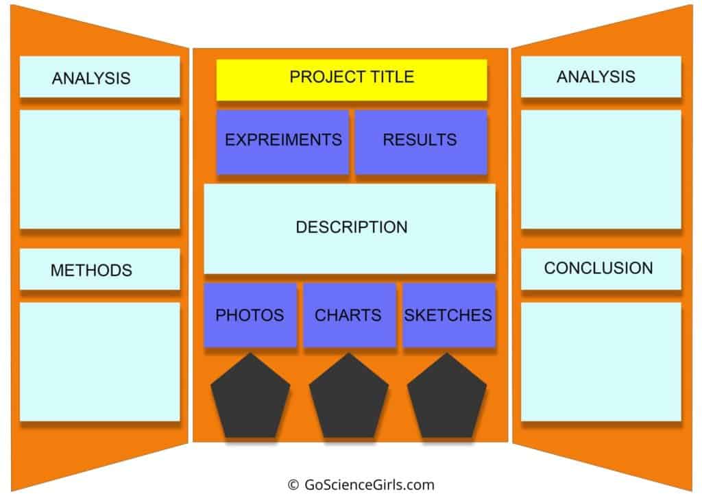 Science Fair Project Board, Examples & How to Design