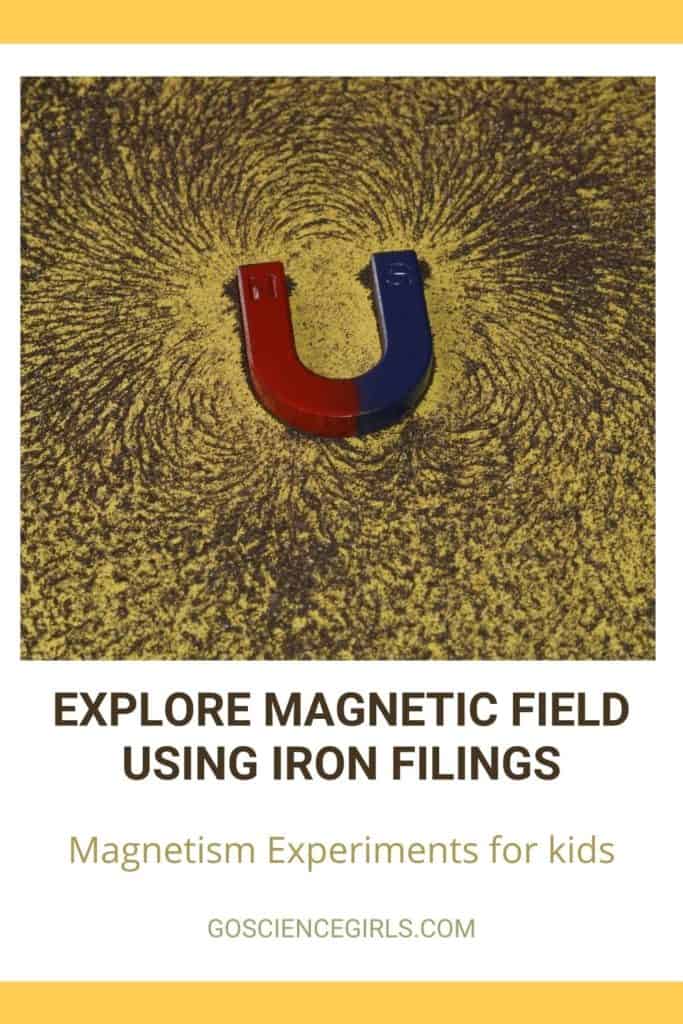 Explore Magnetic Field using iron filings