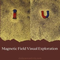 How to Use Iron Filings to See Magnetic Field