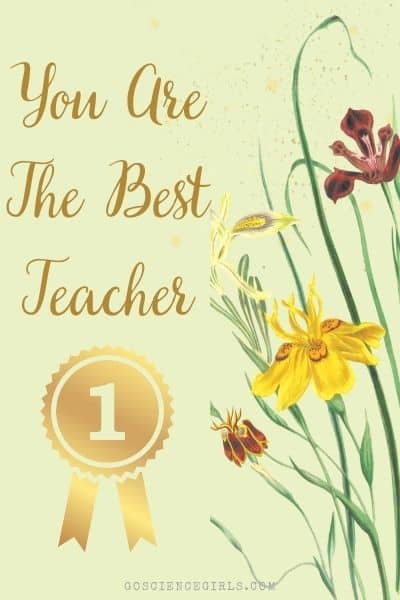 Teachers Appreciation Week Card - Best Teacher