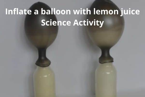 Inflate a balloon with lemon juice science activity.
